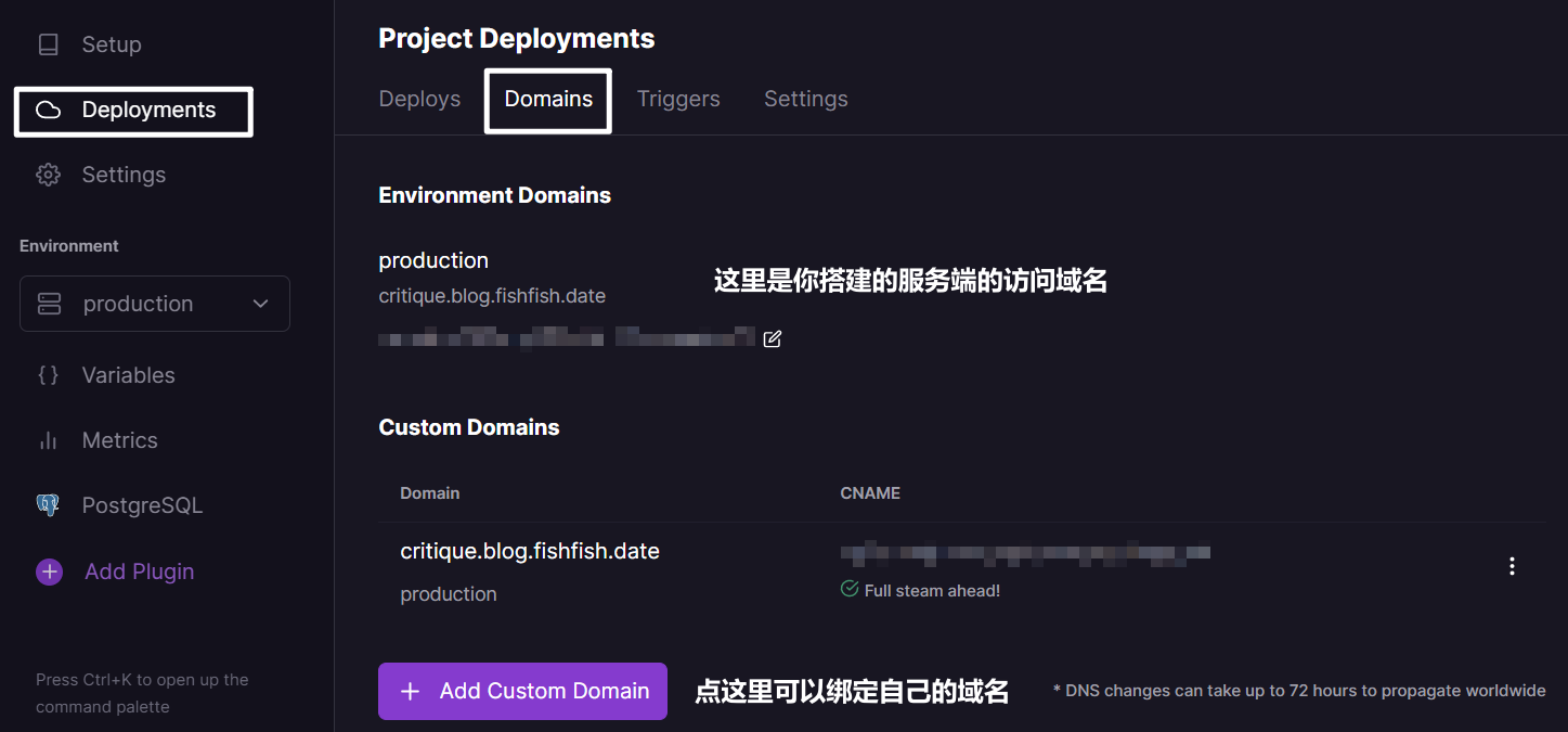 查看服务端域名